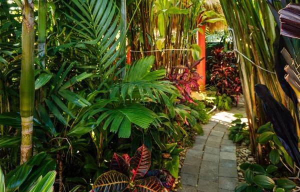 Fl Tropical Garden