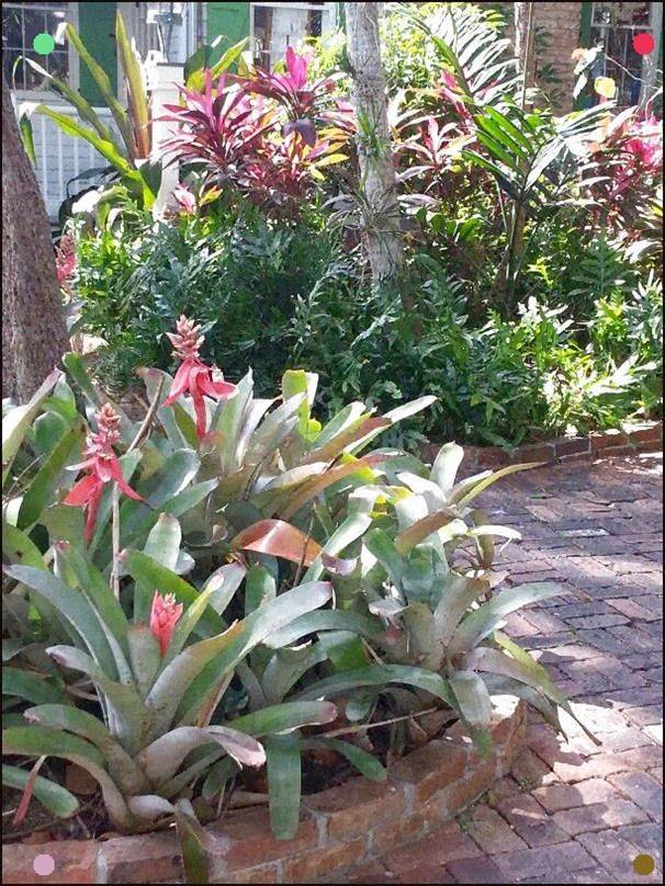 Gardeninglandscaping Tropical Garden