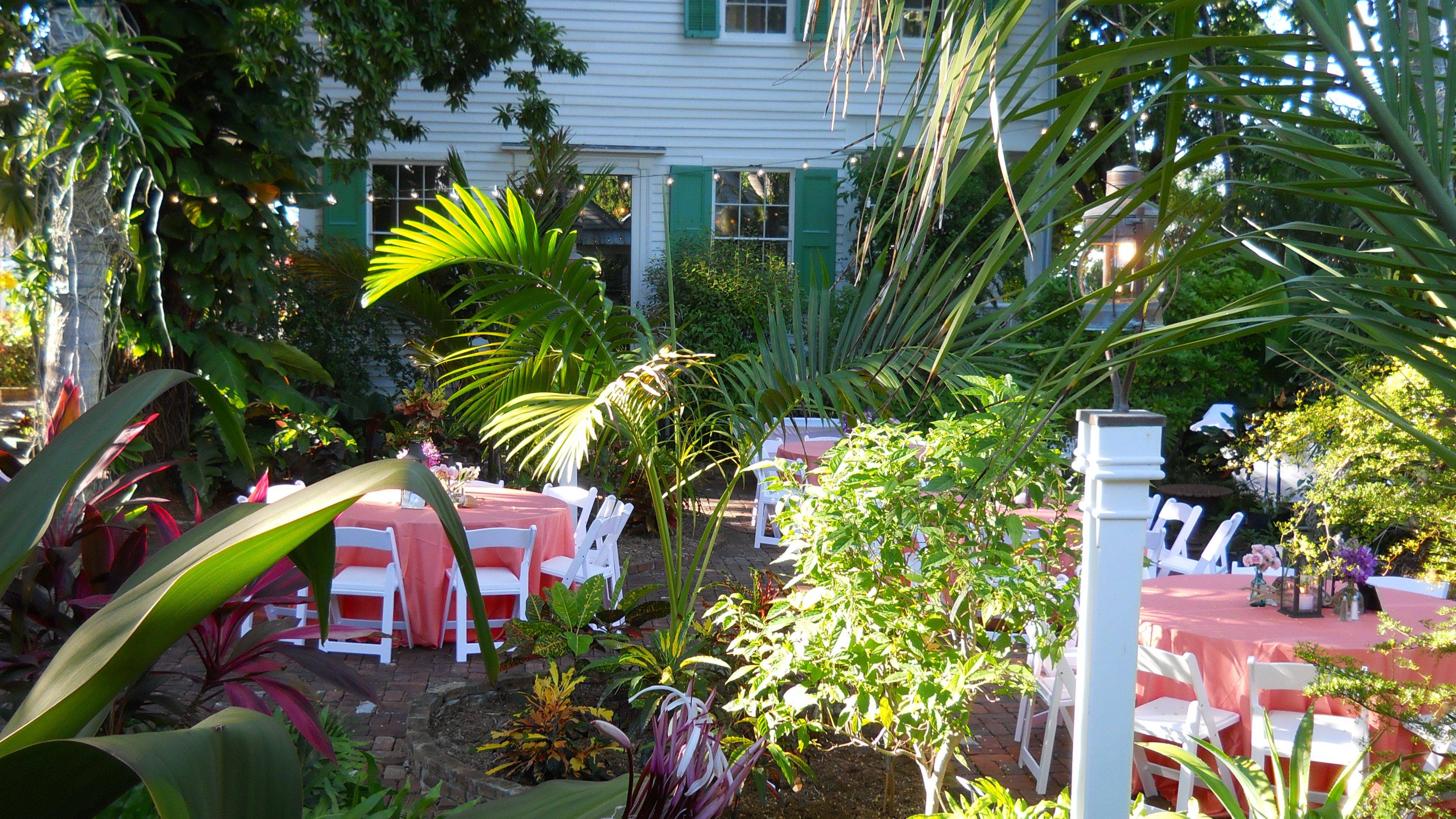 Wholly Ridiculous Simple Tropical Garden