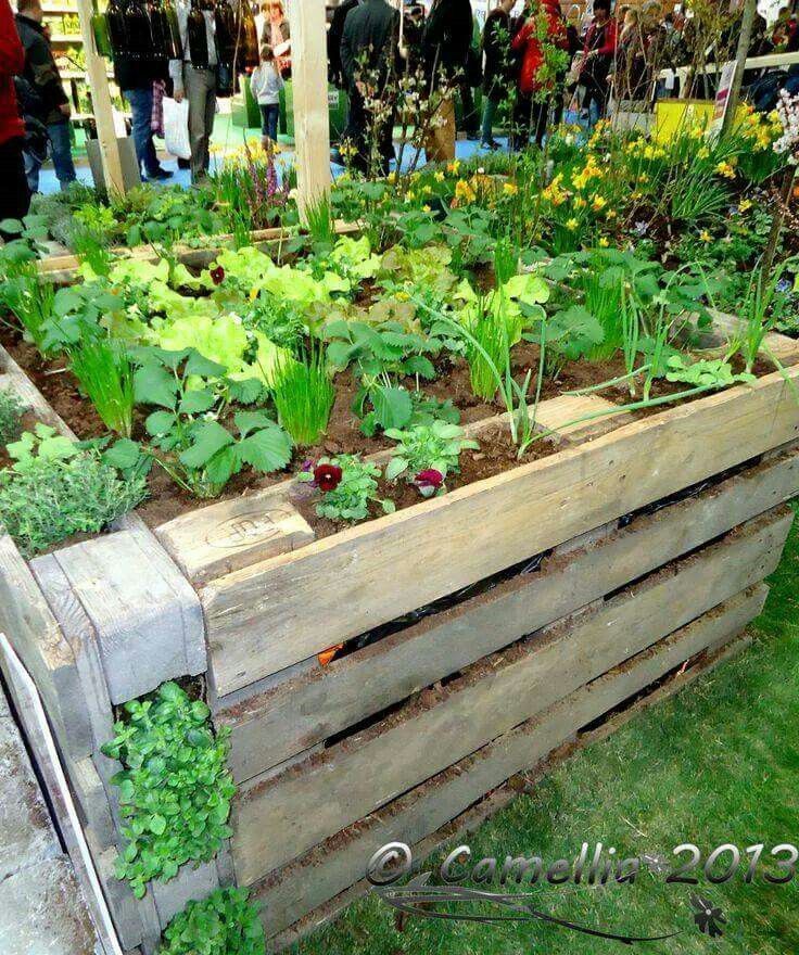 Diy Pallet Vegetable Garden Pallets Pro