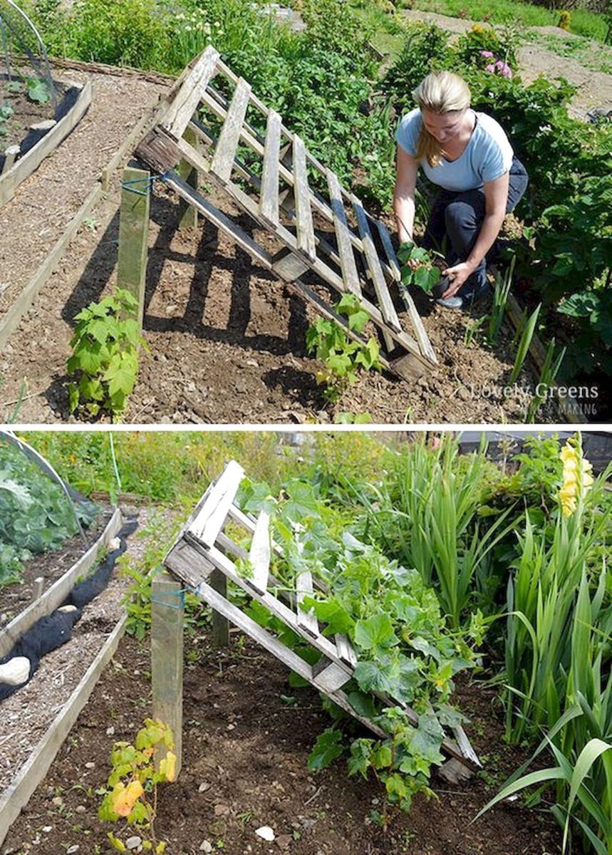 Most Amazing Square Diy Vegetable And Flower Beds