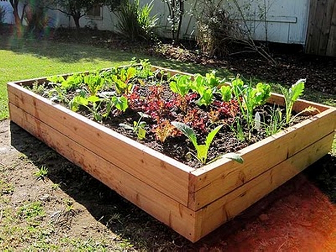 Pinterest Garden Boxes