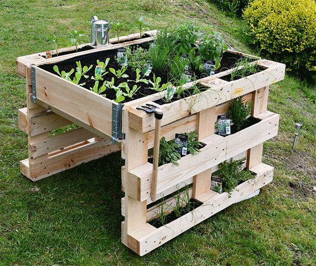 Pallet Vegetable Garden Pallet Ideas