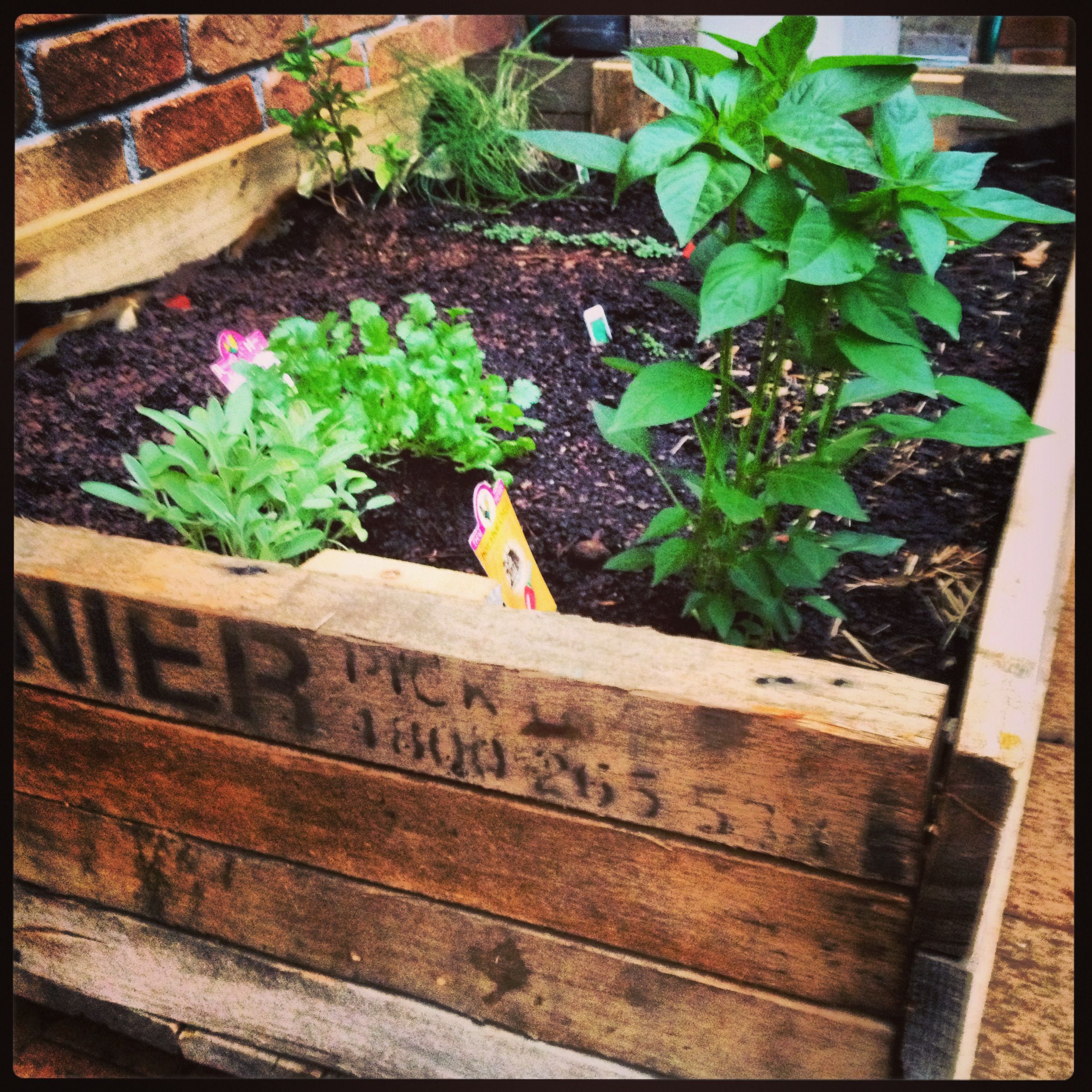 Pallet Vegetable Garden Pallet Ideas