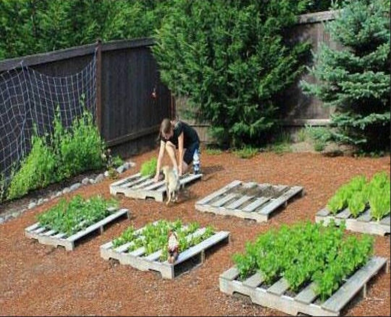 Smart Diy Gardening Ideas