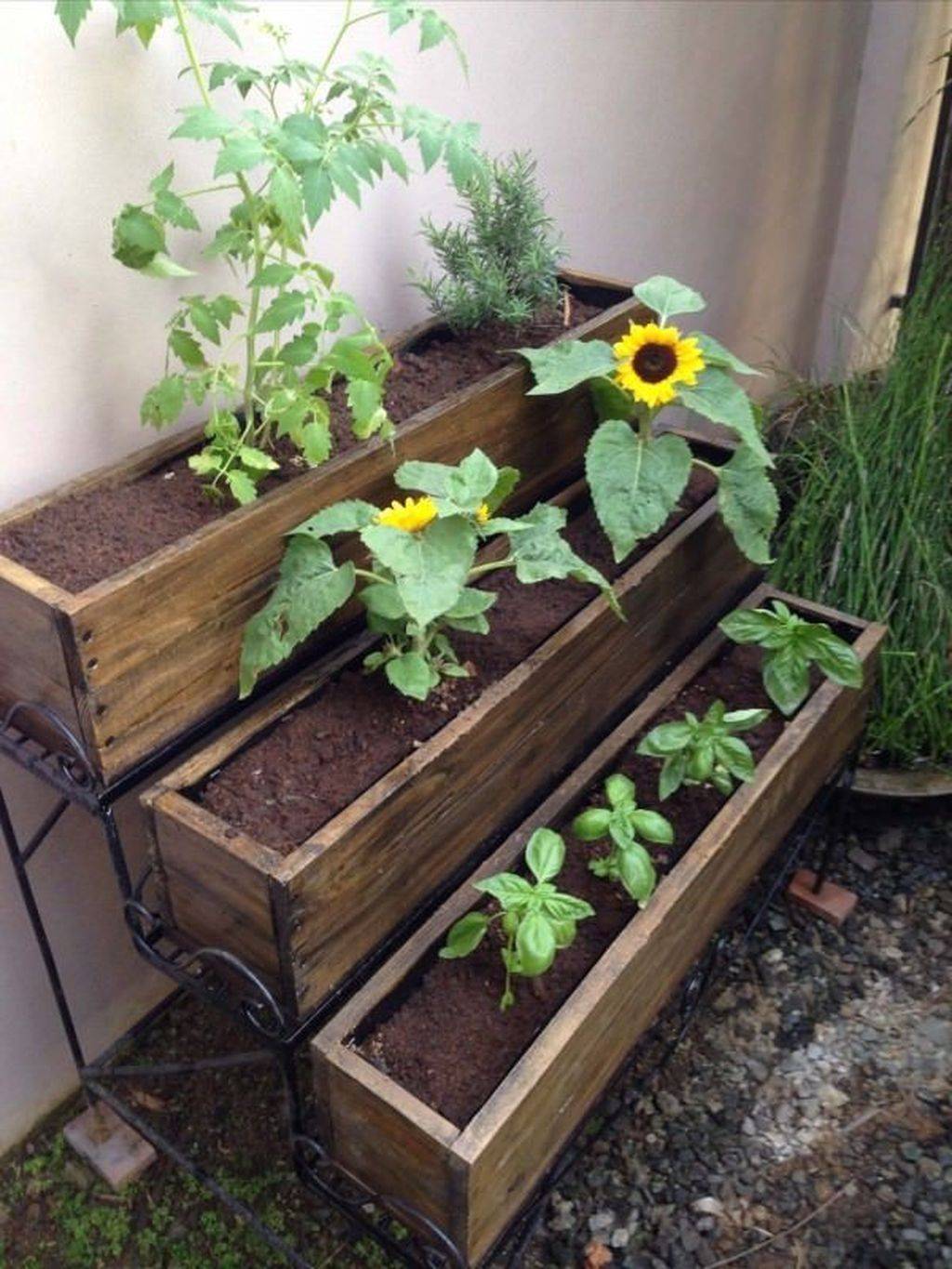 Beautiful Diy Backyard Vegetable Garden Ideas Decorecent