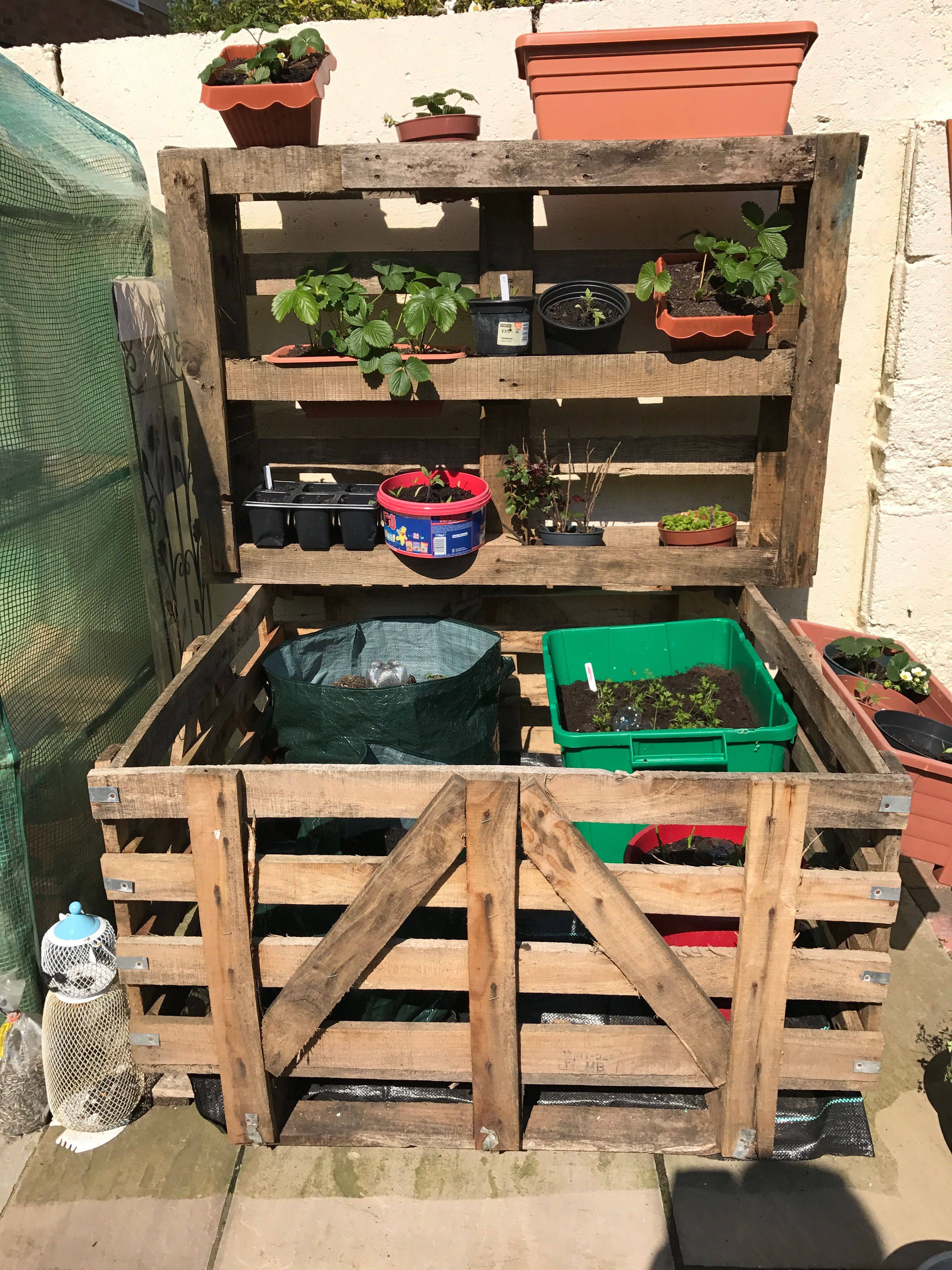 This Inexpensive Waist High Planter Box