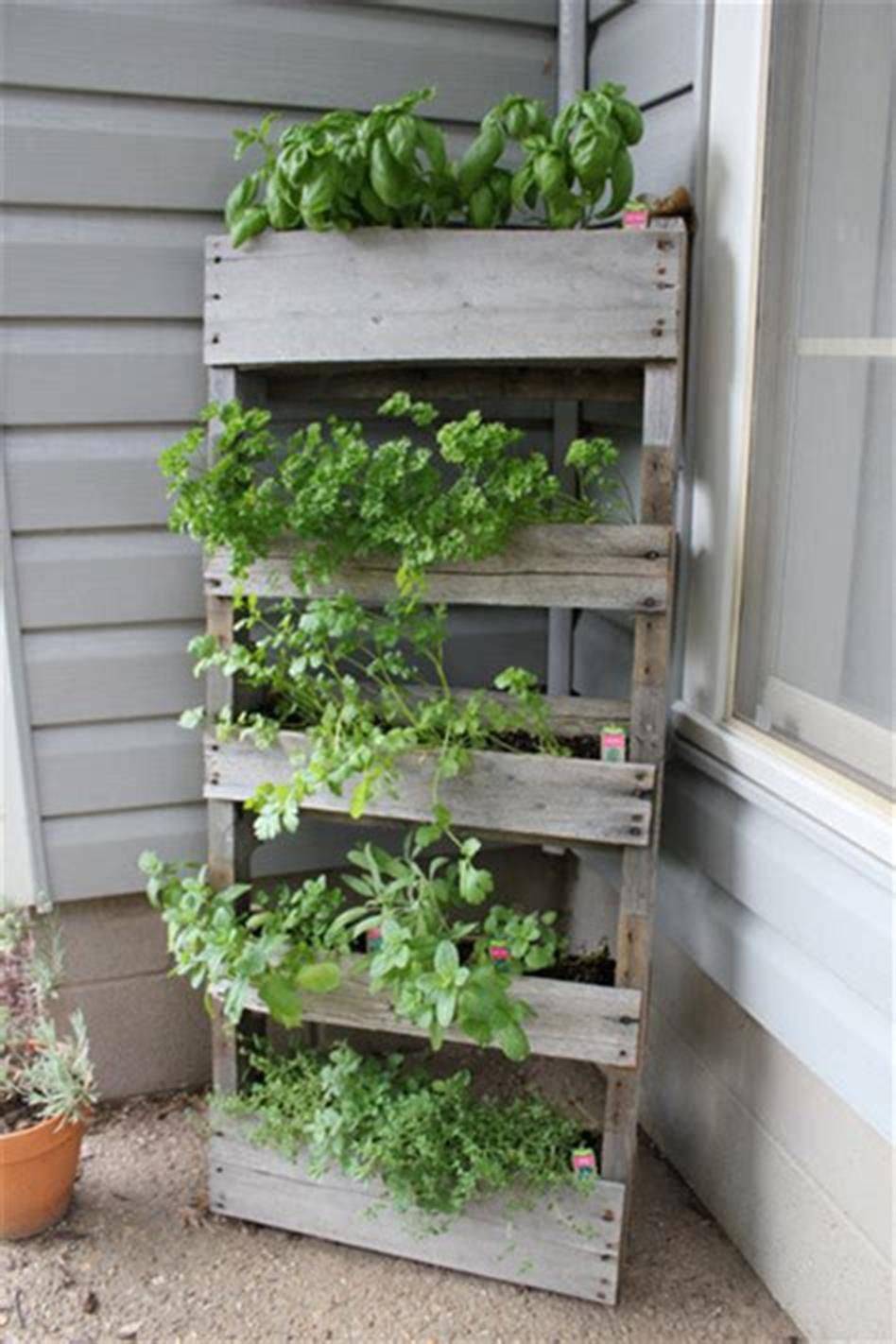 Amazing Container Gardens