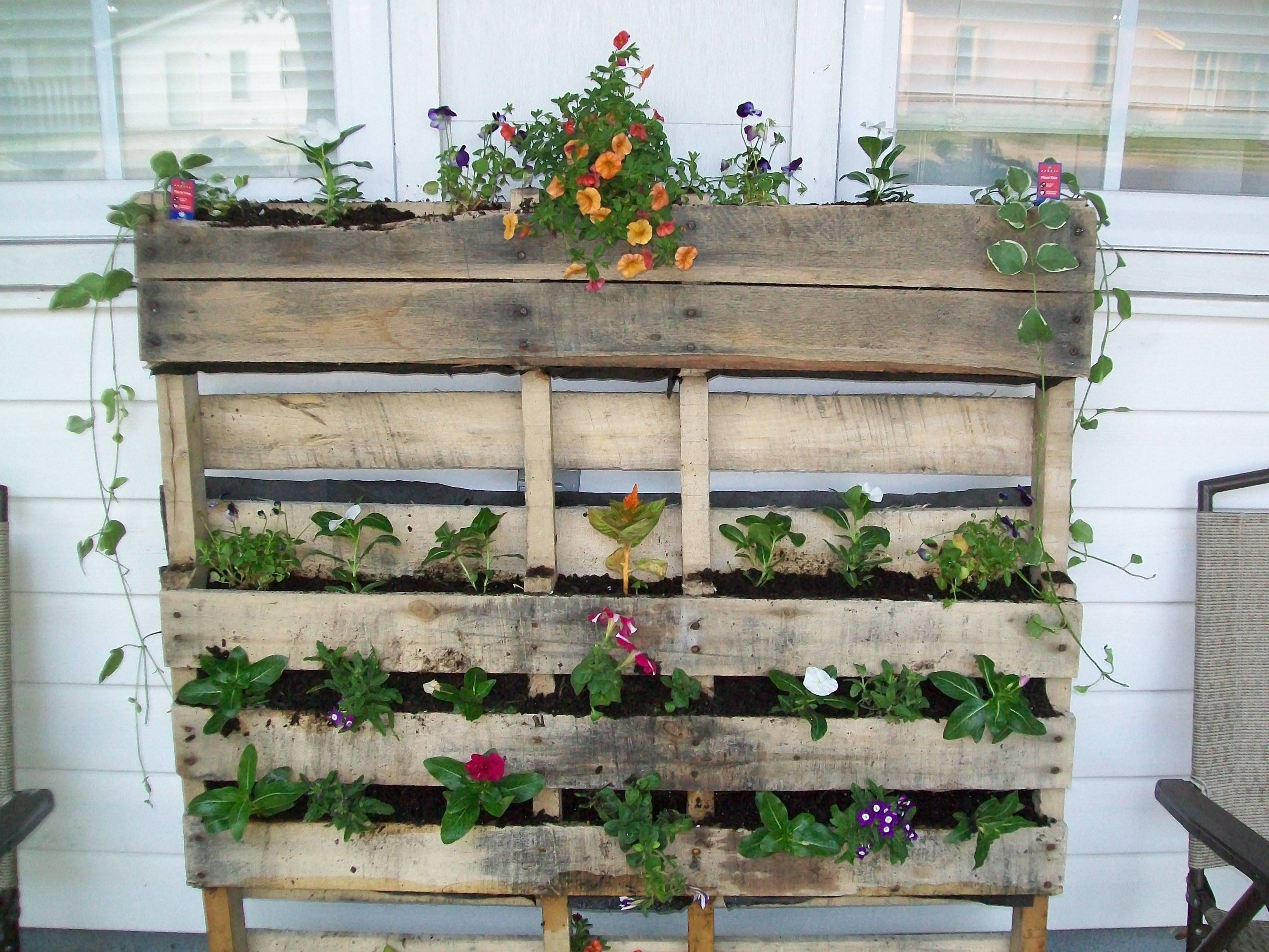 22 Pallet Container Garden Ideas You Cannot Miss SharonSable