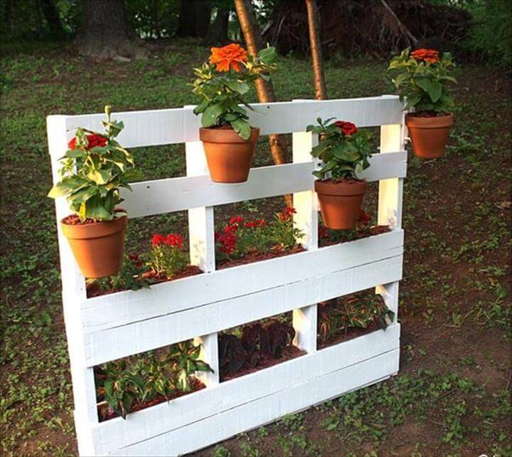 Diy Container Gardening