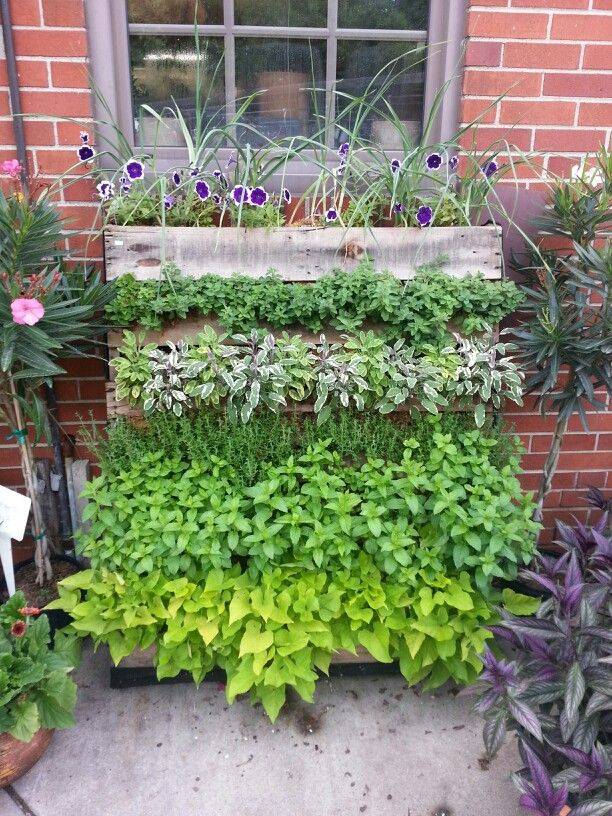 22 Pallet Container Garden Ideas You Cannot Miss SharonSable