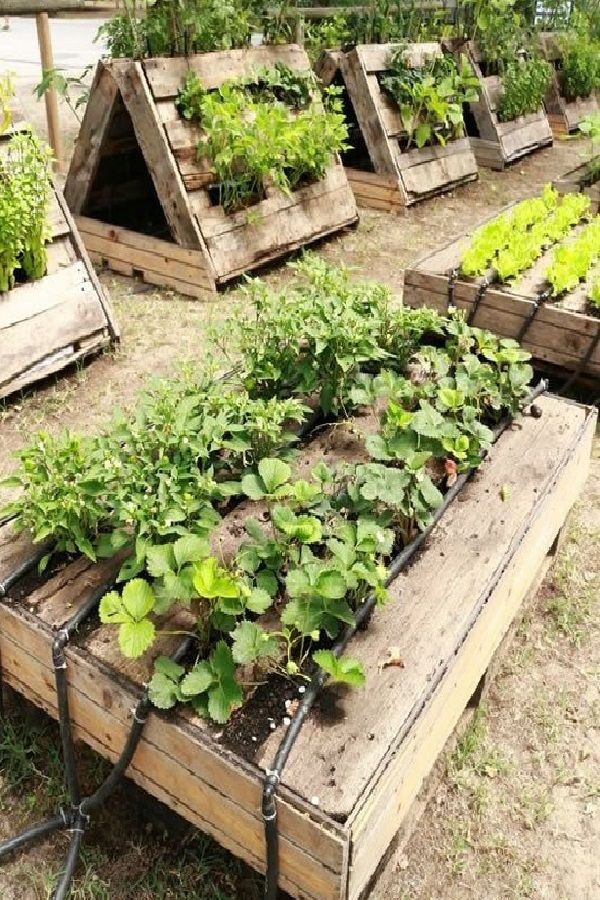 Mini Pallet Garden Pallets