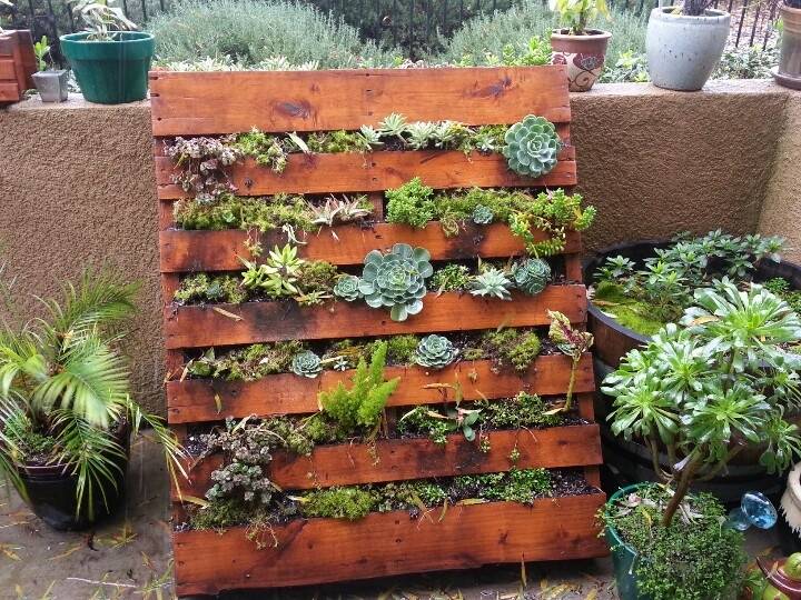 Beautiful Pallet Garden Ideas