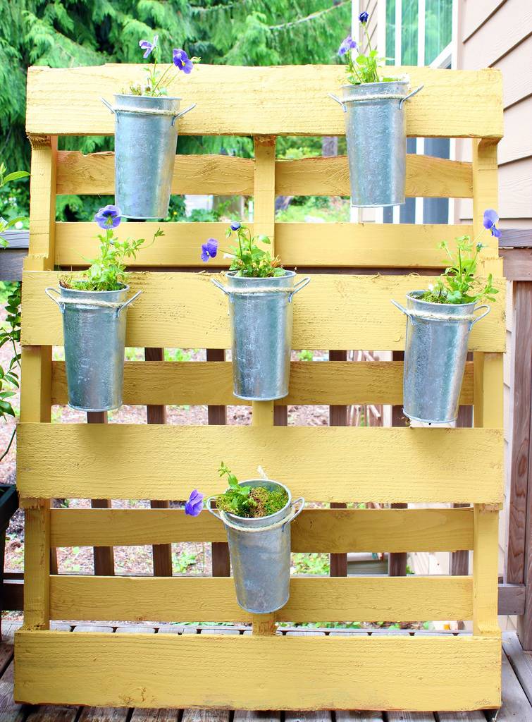 Your First Pallet Garden