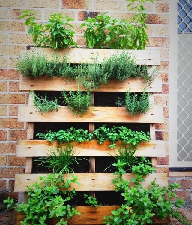 Pallet Gardening