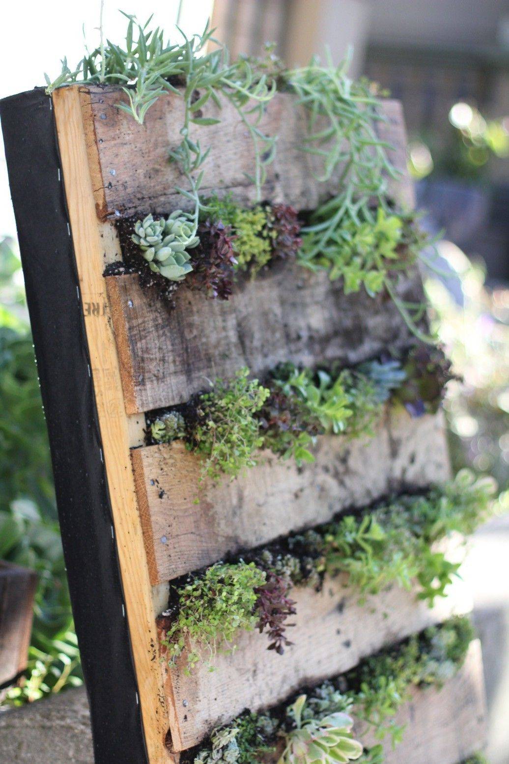 Pallet Wall Garden