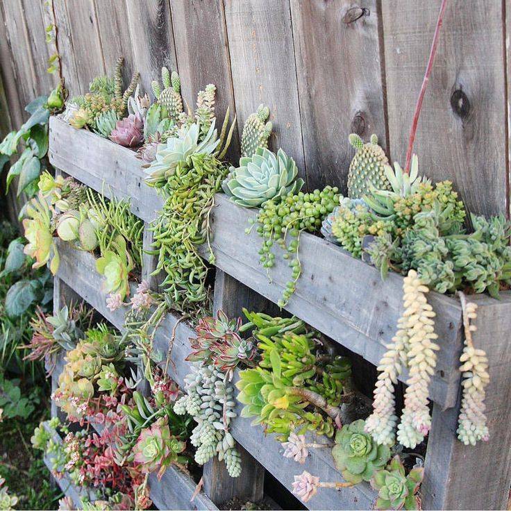 Inspiring Diy Projects Pallet Garden Design Ideas