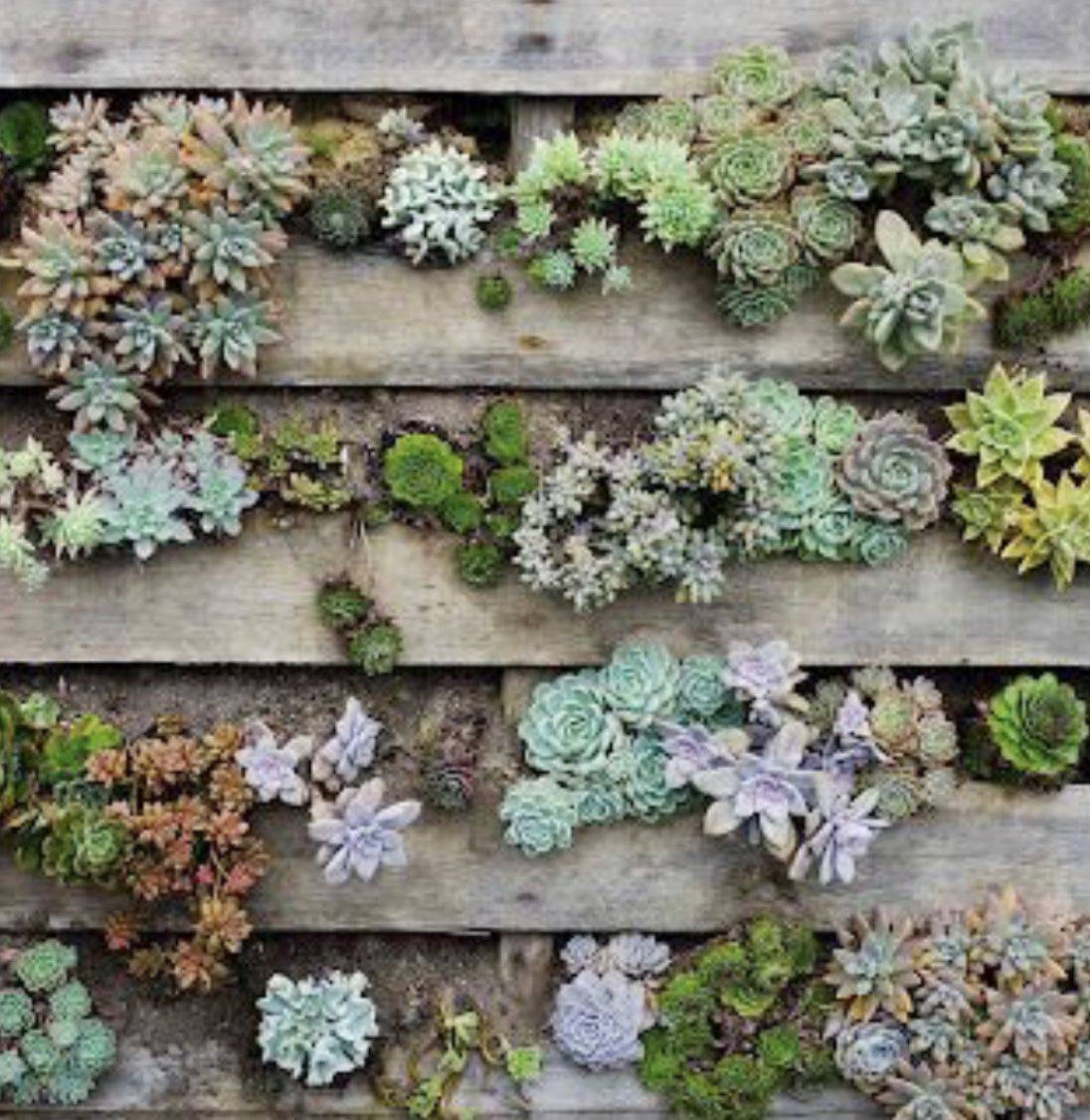 Repurposed Pallets