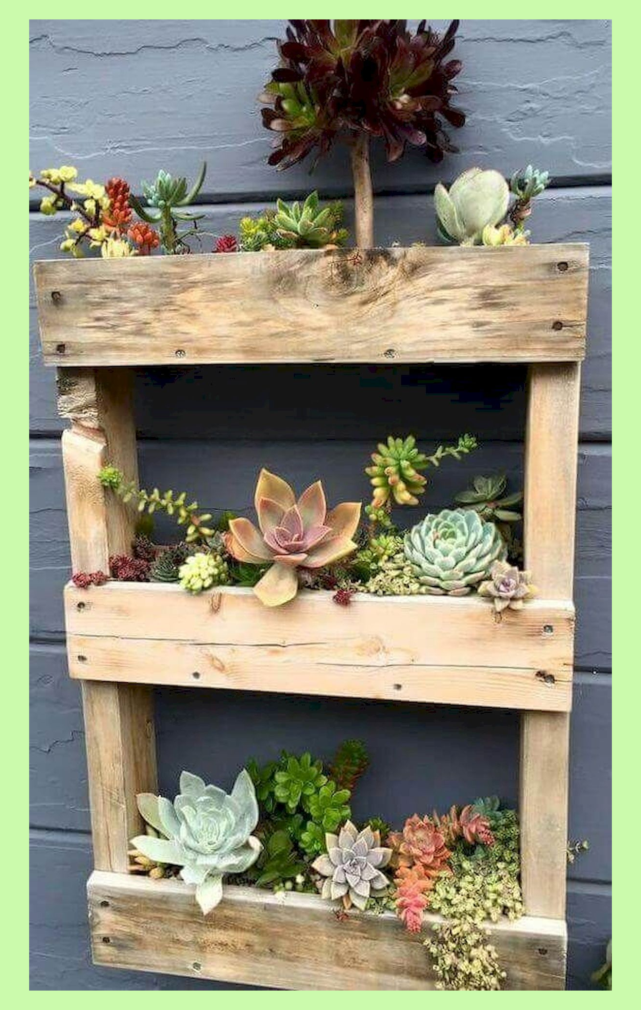 Creative Indoor And Outdoor Succulent Garden Ideas
