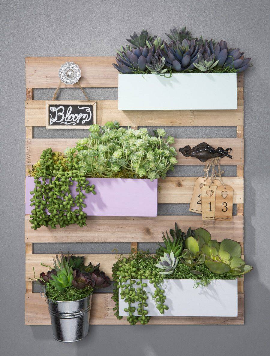 Creative Indoor And Outdoor Succulent Garden Ideas