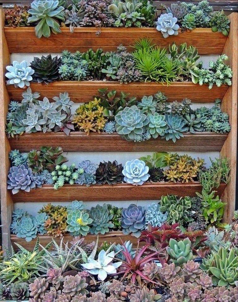 This Succulent Garden