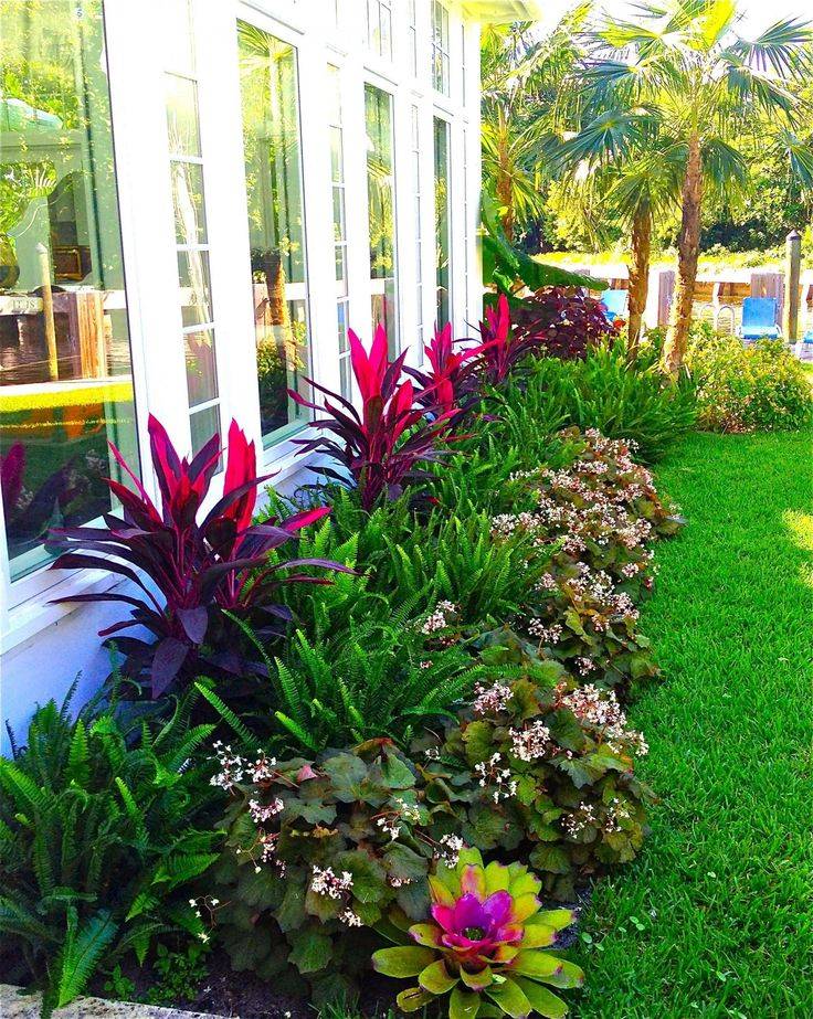 Tropical Ideas