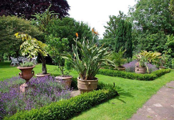 Tropical Flower Garden Ideas