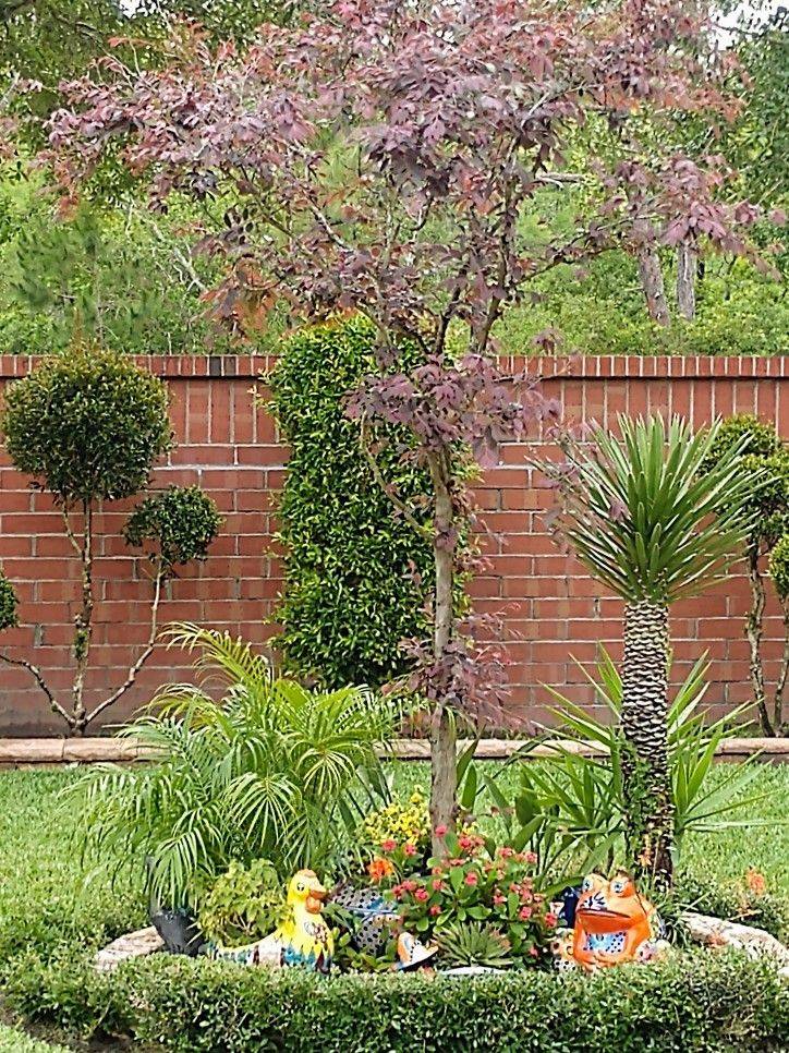 Front Yard Tropical Flower