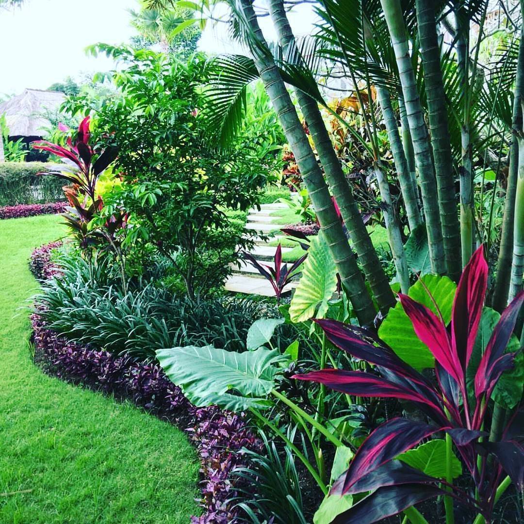 Flower Beds In Front Of House Decoratoo Tropical Garden Design