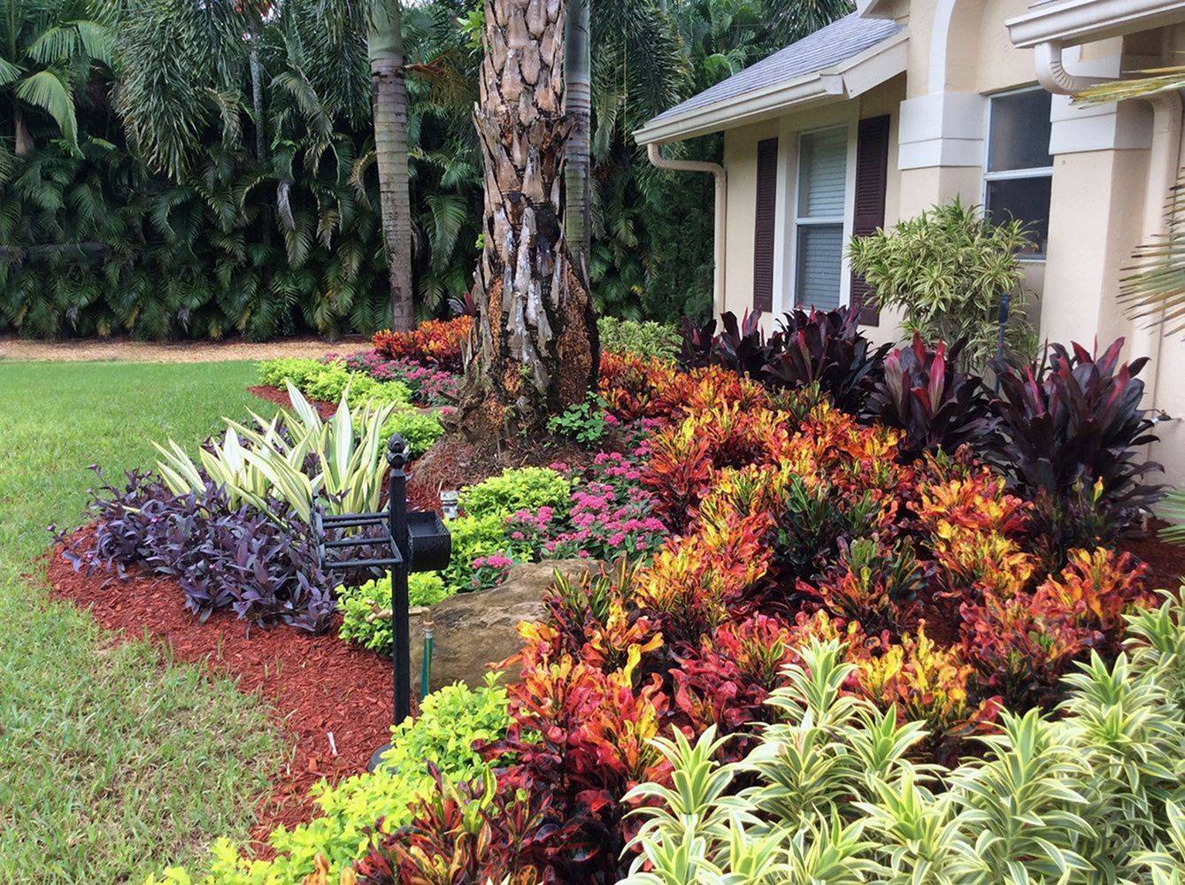 Low Maintenance Flower Garden Ideas