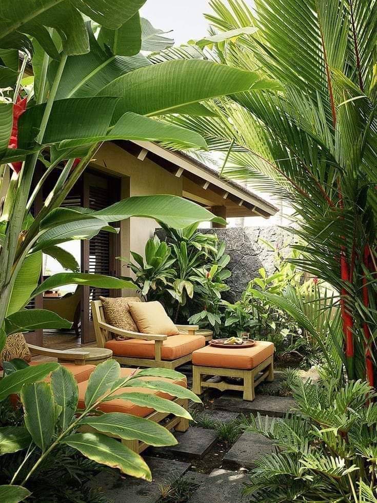 No Lawn Front Yard Page Home