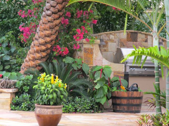 Best Caribbean Garden Ideas Images