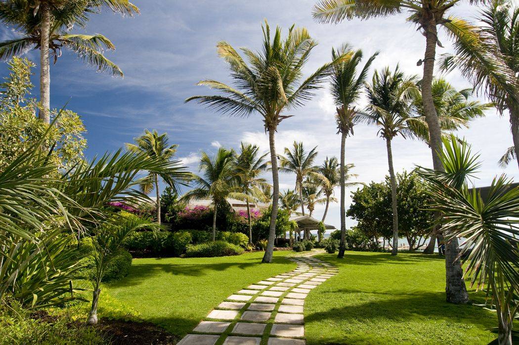 Dutch Caribbean Garden Landscape