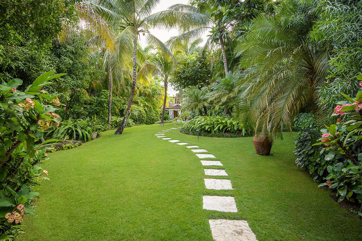 Caribbean Garden Tropical Landscape Miami