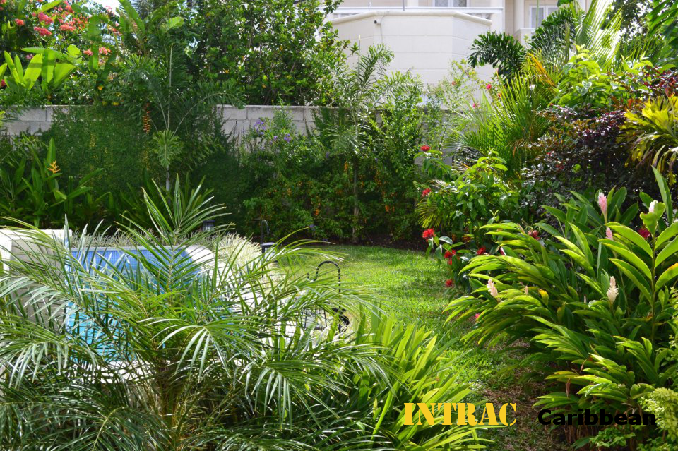 Caribbean Garden Tropical Landscape Miami