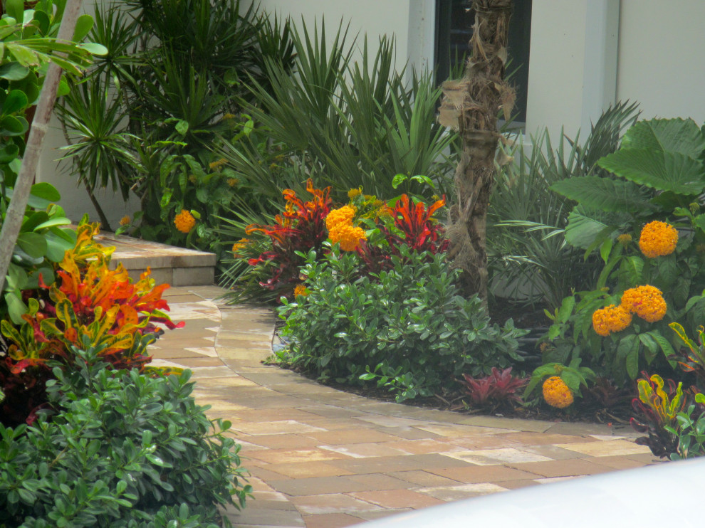 Caribbean Landscape Tropical Garden