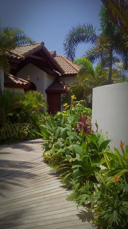 Caribbean Landscaping Ideas Front Yard Tropical Landscape Miami