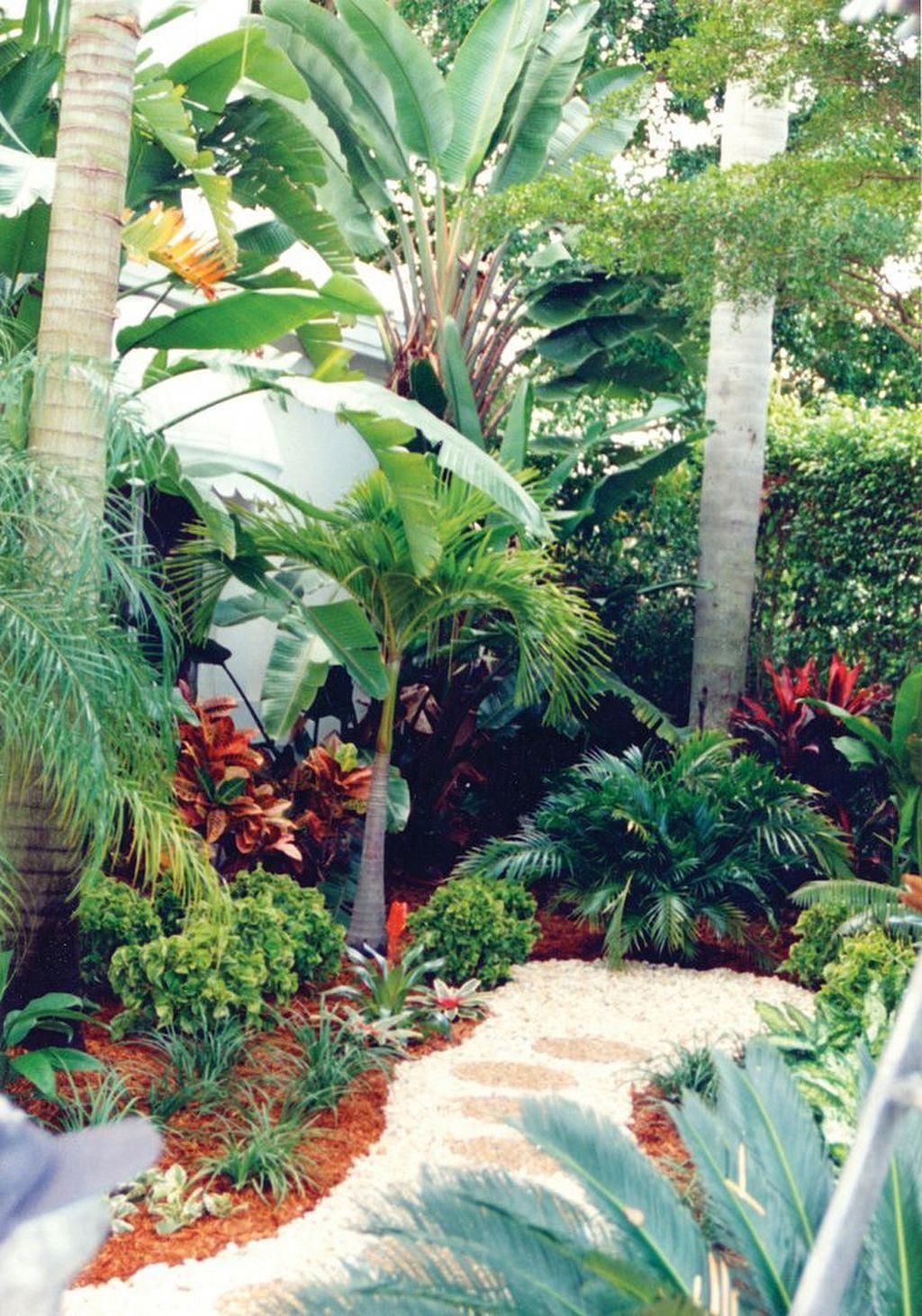 Outer Banks Caribbean Botanical Designs