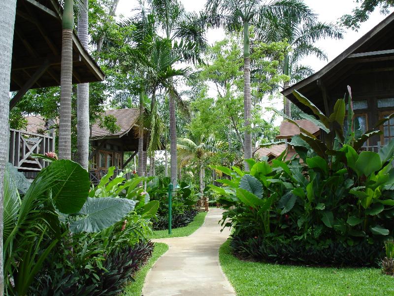 Tropical Decor Home Caribbean