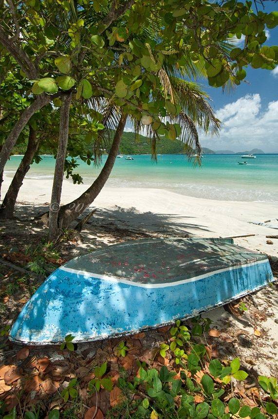 Tortola Photo Print Zazzlecom