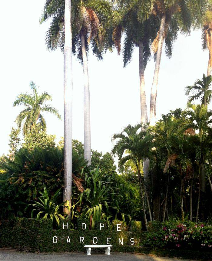 Hope Gardens Experience Jamaique
