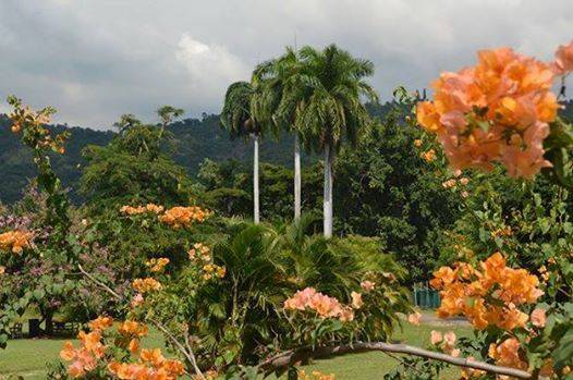 Retreat Outlook Jamaica Gleaner