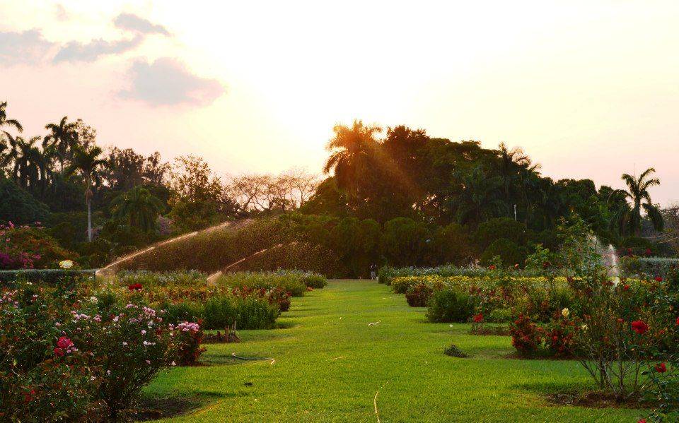 Unique Wedding Spots
