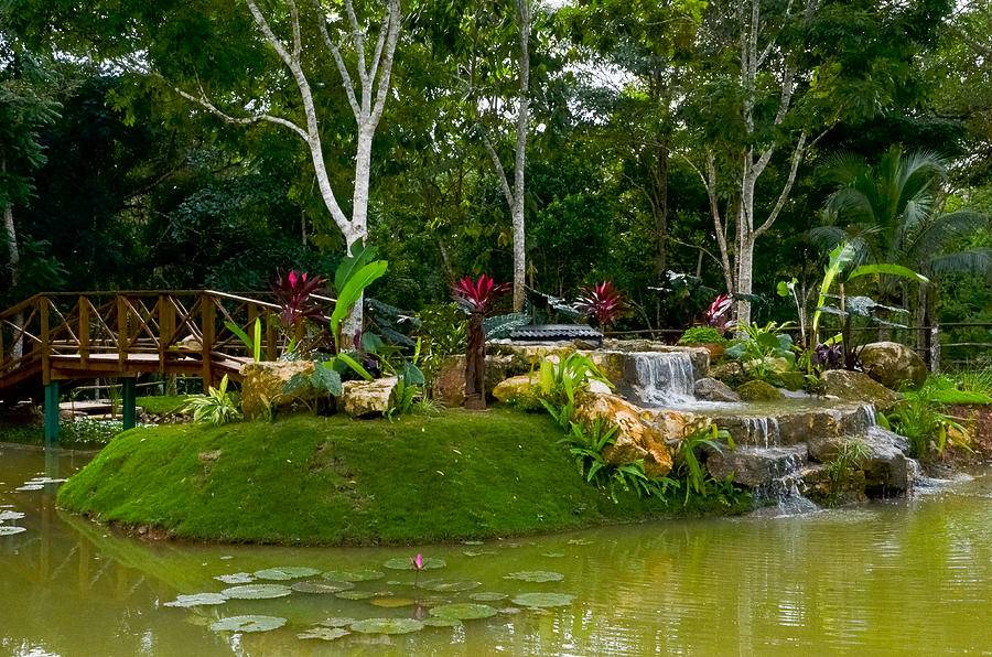 Hope Gardens Lead Stories