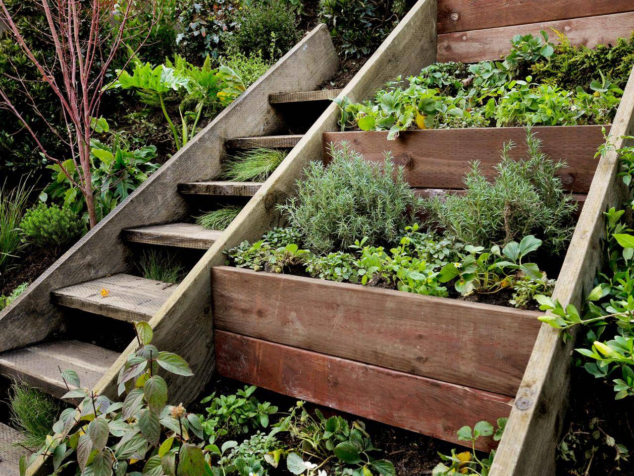 Beautiful Diy Garden