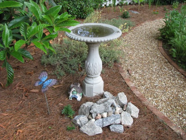Your Backyard Inspiration Napiernews