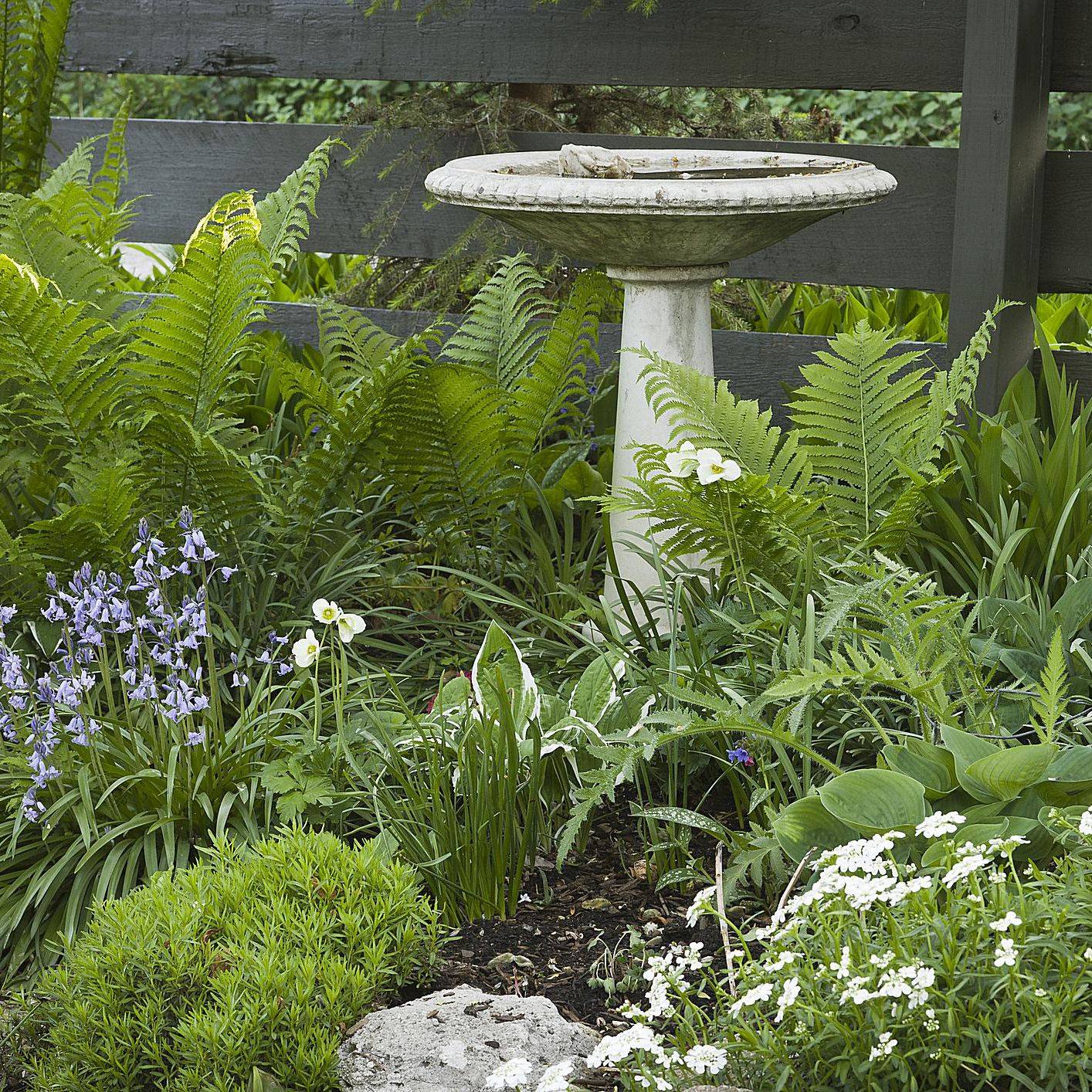 Your Backyard Inspiration Homishome