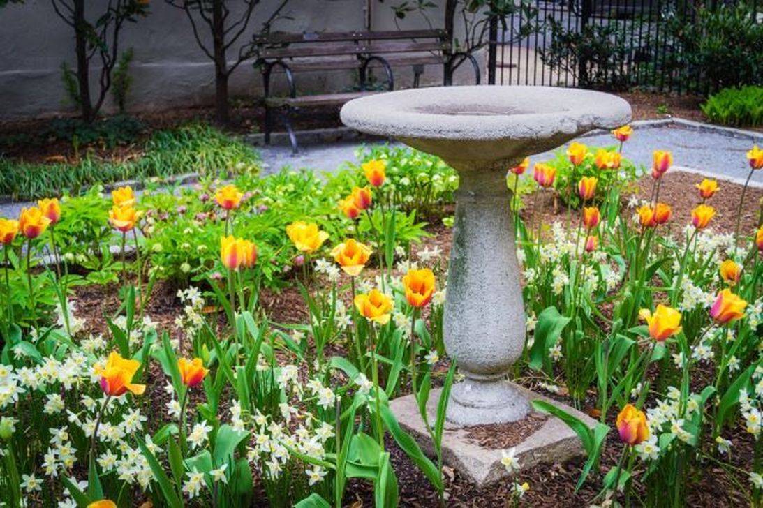 The Garden