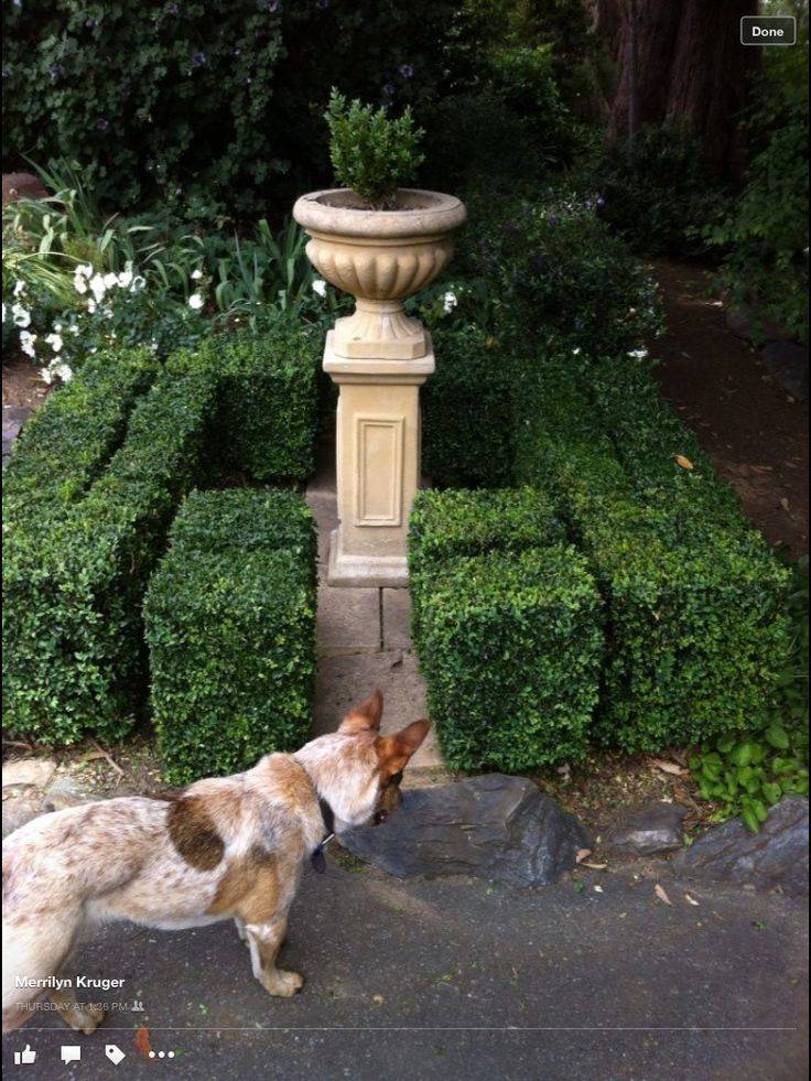 Tiered Formal Gardens Solar Powered Bird Bath Fountain