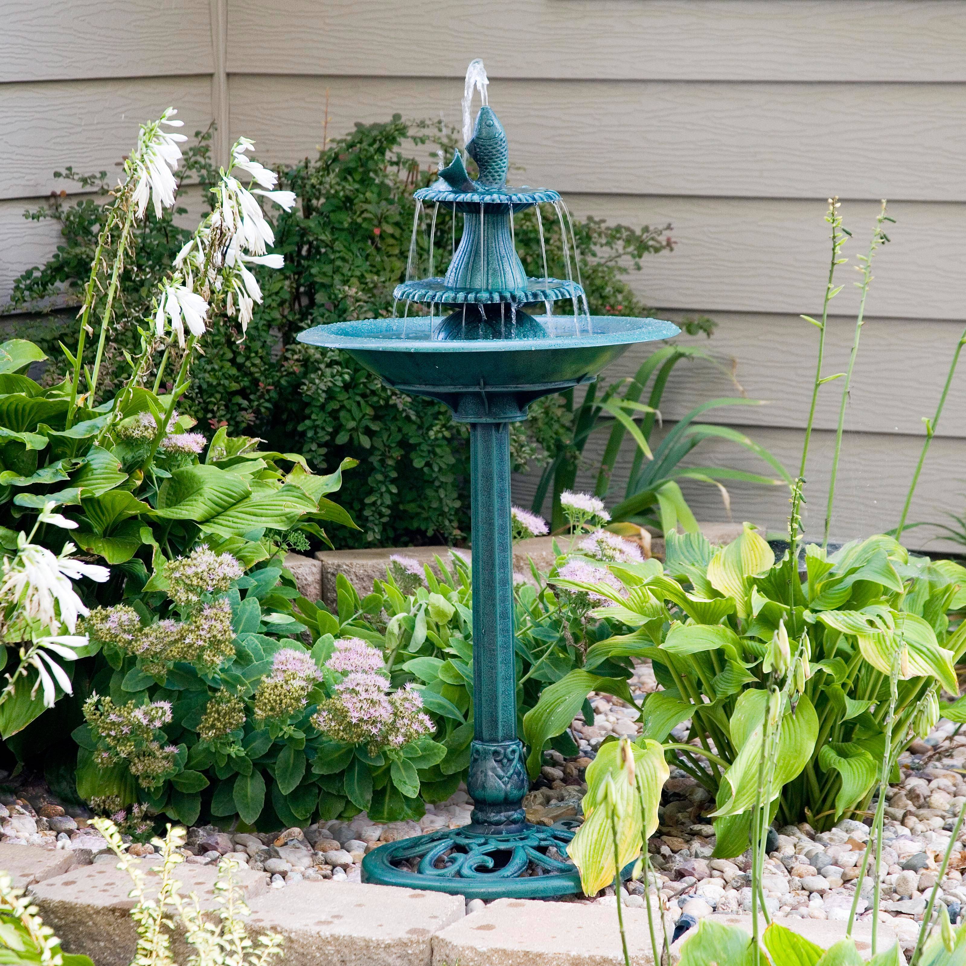 The Backyard Naturalist